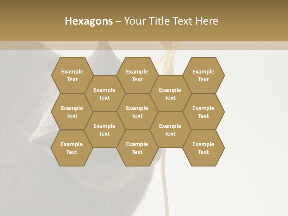 Meeting Per On Teamwork PowerPoint Template