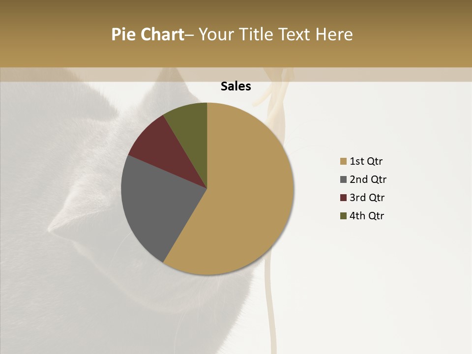 Meeting Per On Teamwork PowerPoint Template