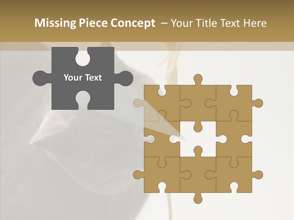 Meeting Per On Teamwork PowerPoint Template