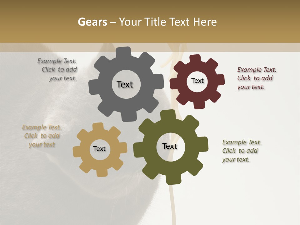 Meeting Per On Teamwork PowerPoint Template