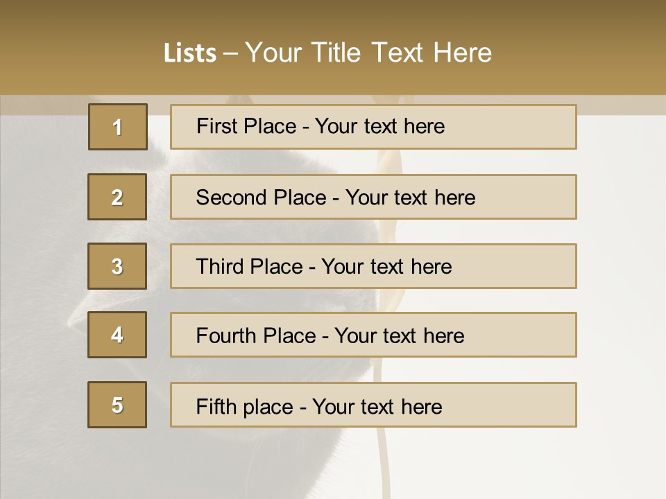 Meeting Per On Teamwork PowerPoint Template