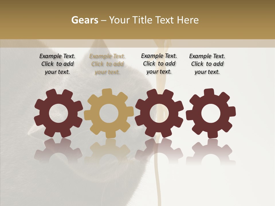 Meeting Per On Teamwork PowerPoint Template