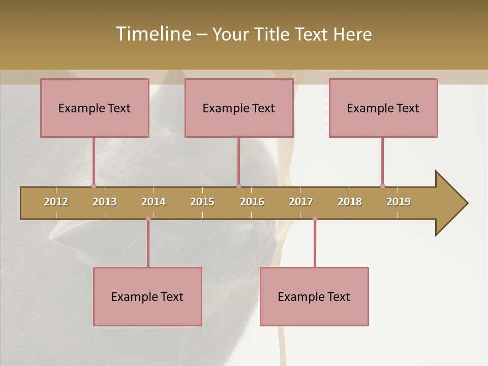 Meeting Per On Teamwork PowerPoint Template