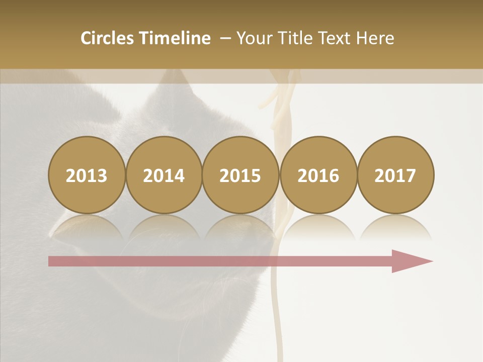 Meeting Per On Teamwork PowerPoint Template