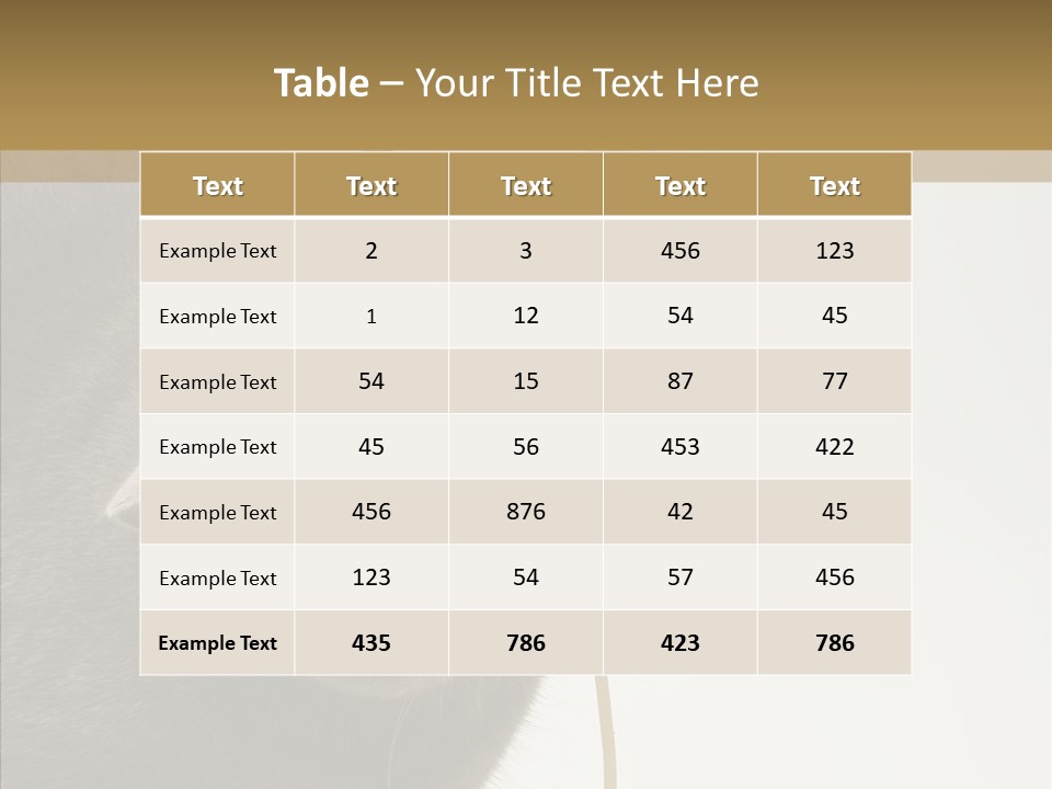 Meeting Per On Teamwork PowerPoint Template