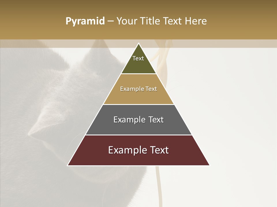 Meeting Per On Teamwork PowerPoint Template