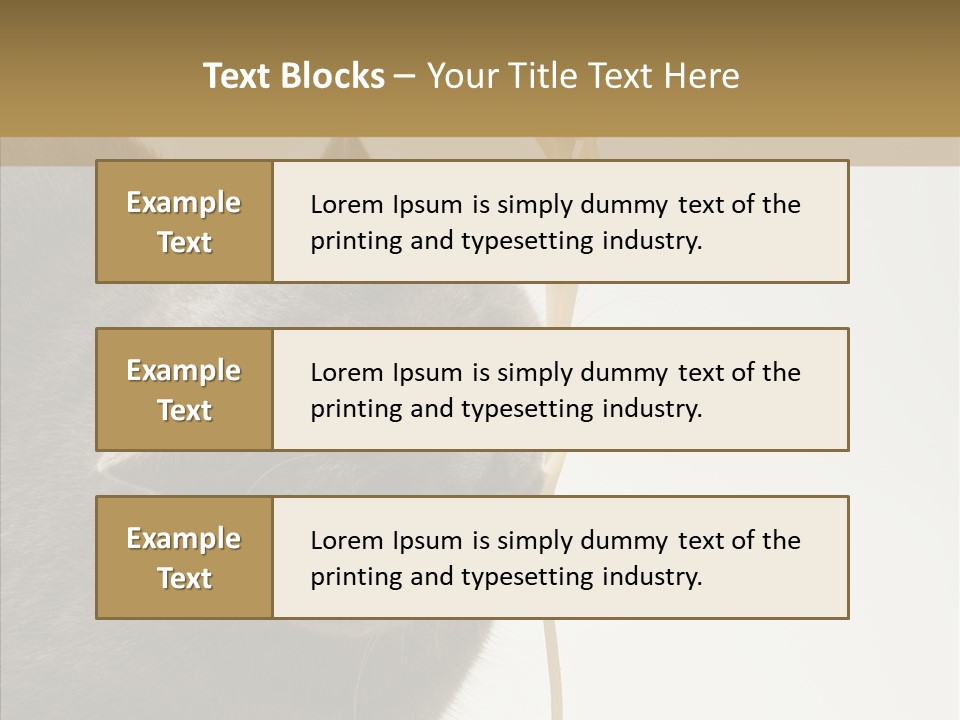 Meeting Per On Teamwork PowerPoint Template