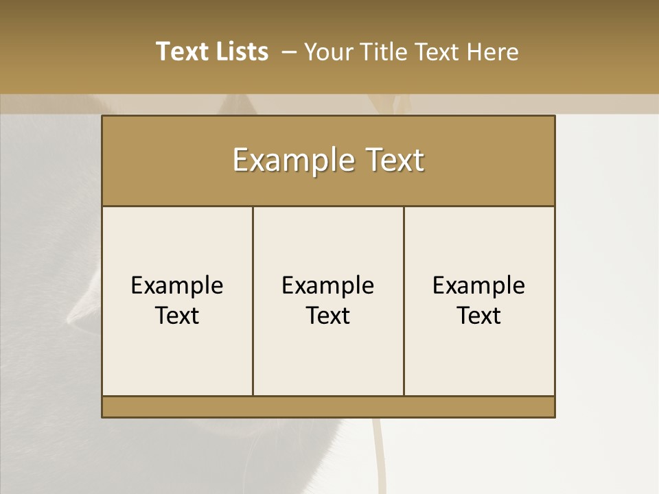 Meeting Per On Teamwork PowerPoint Template