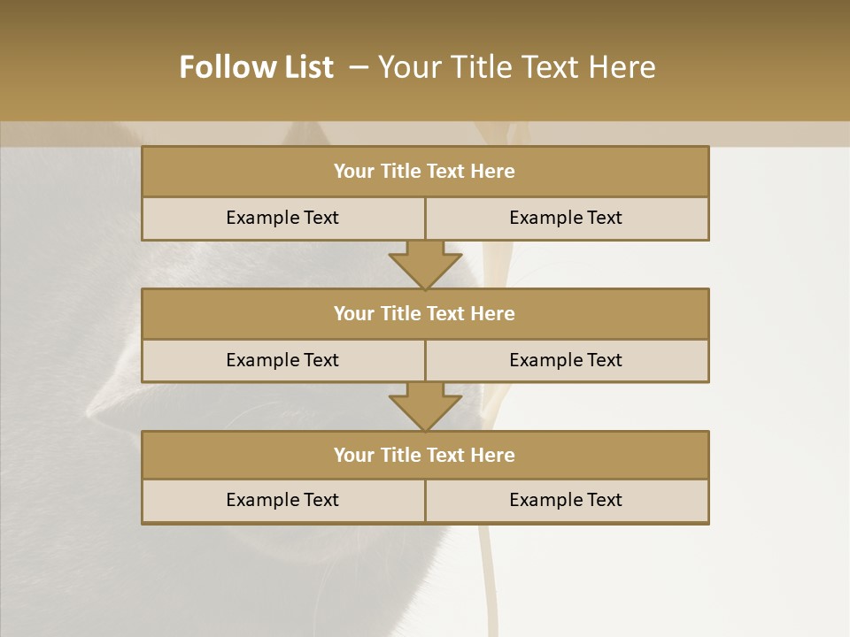 Meeting Per On Teamwork PowerPoint Template