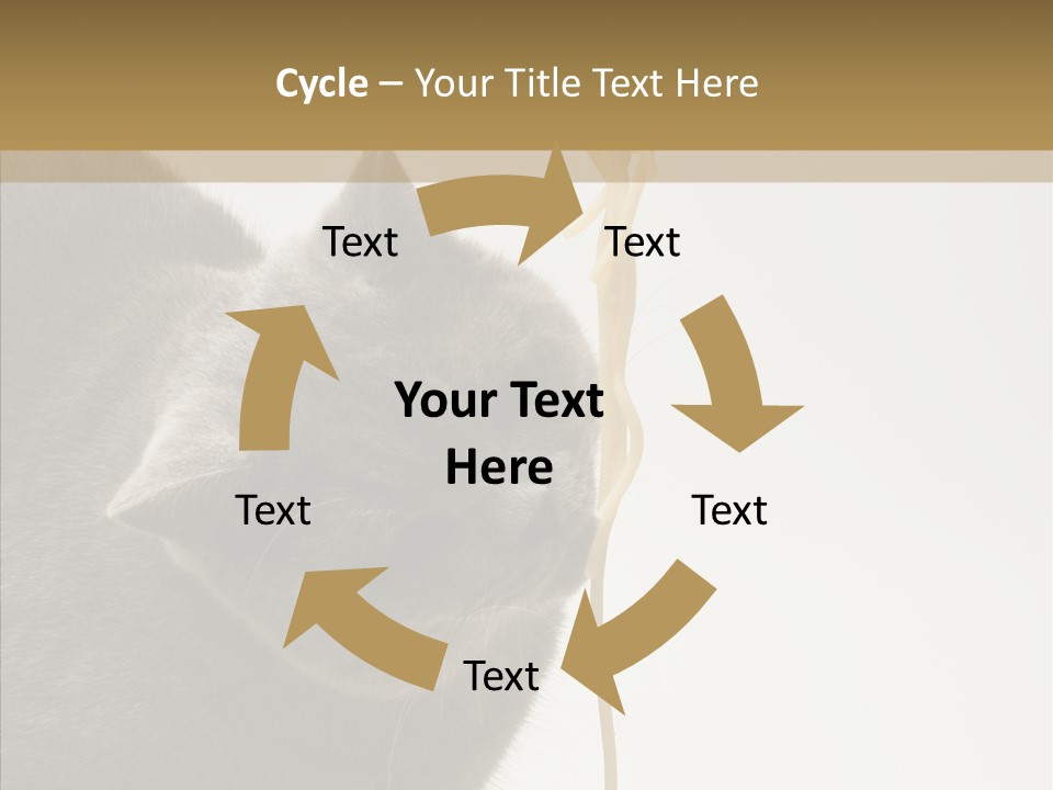 Meeting Per On Teamwork PowerPoint Template