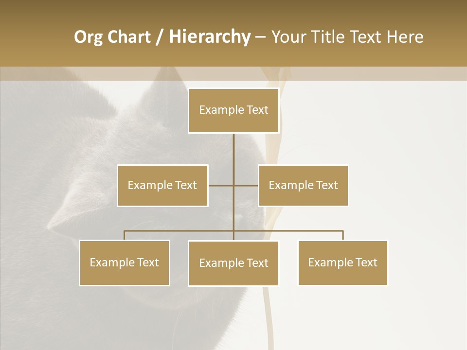 Meeting Per On Teamwork PowerPoint Template