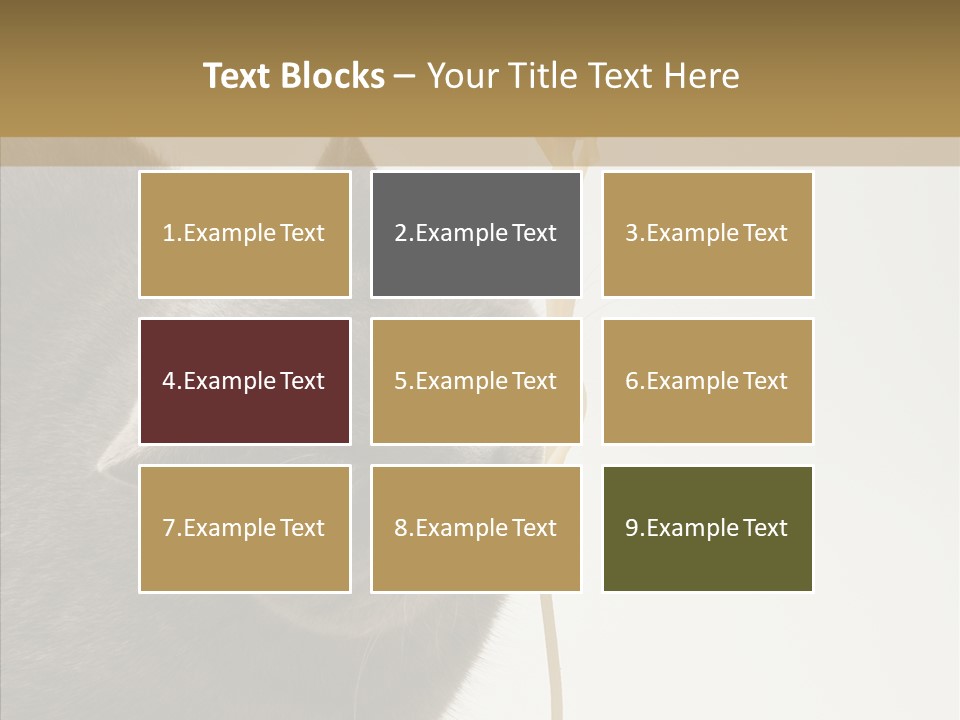Meeting Per On Teamwork PowerPoint Template
