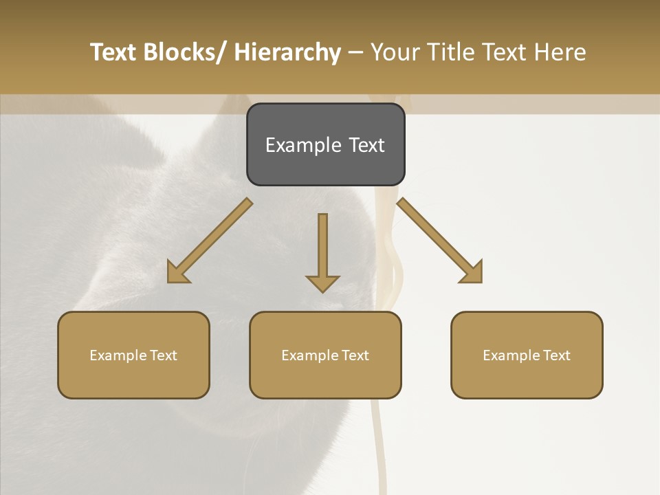 Meeting Per On Teamwork PowerPoint Template