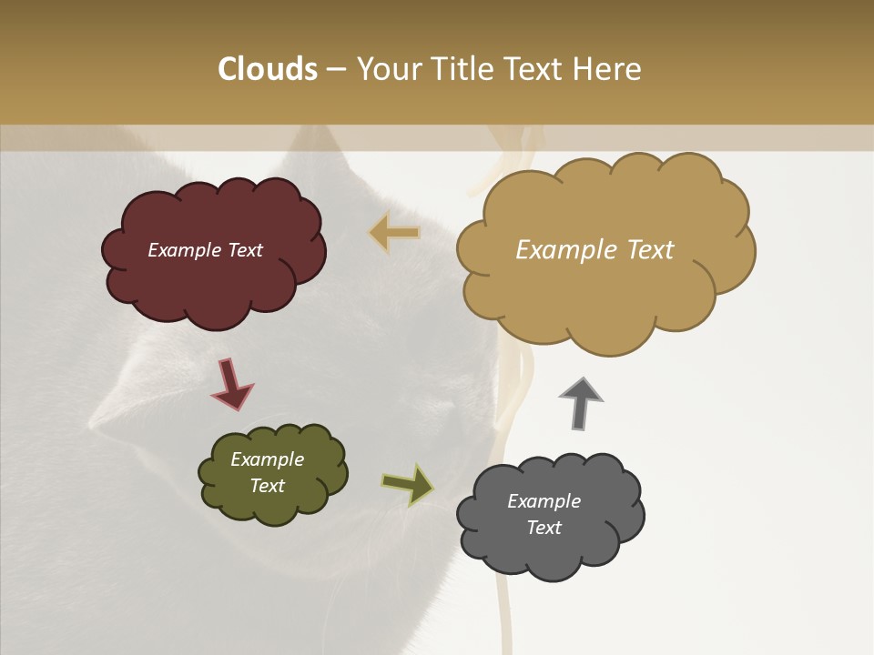 Meeting Per On Teamwork PowerPoint Template