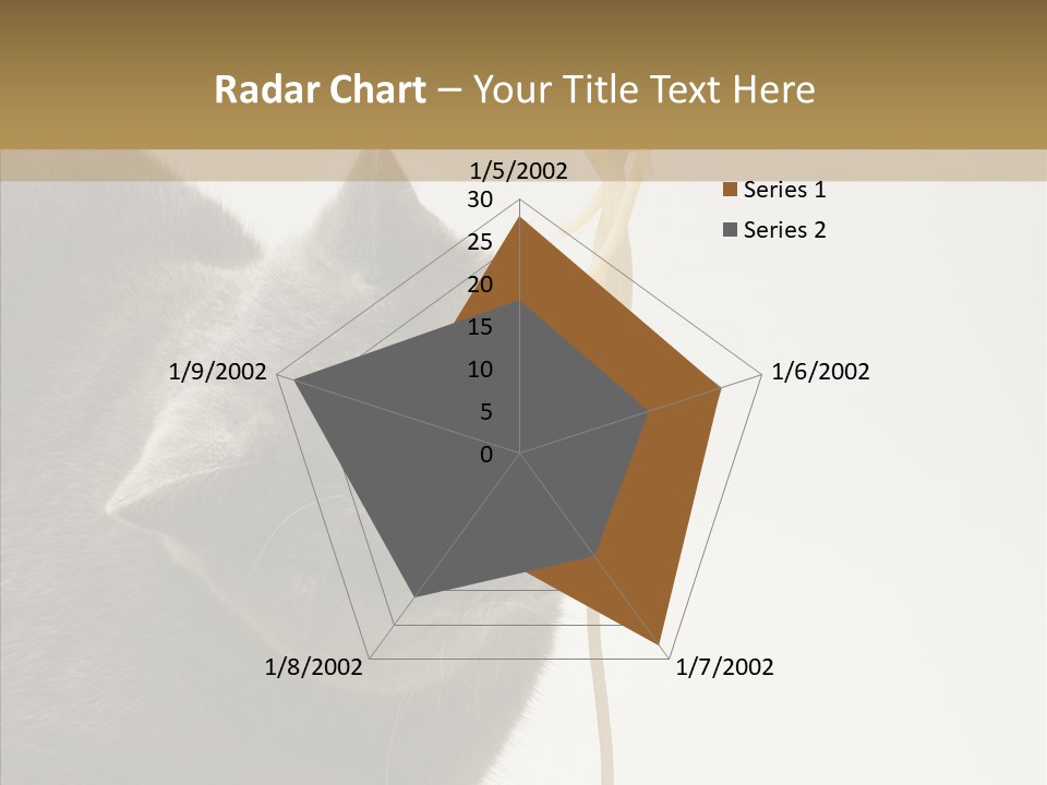 Meeting Per On Teamwork PowerPoint Template