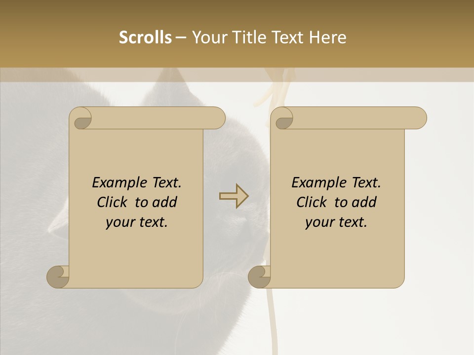 Meeting Per On Teamwork PowerPoint Template