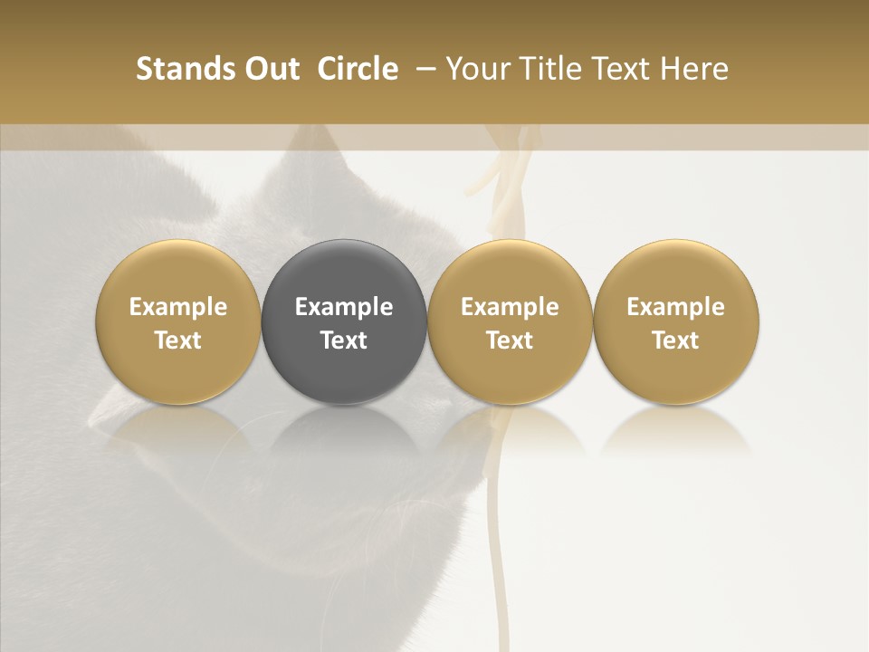 Meeting Per On Teamwork PowerPoint Template