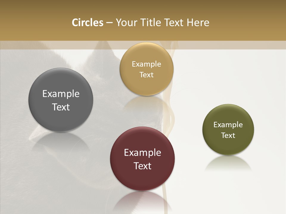 Meeting Per On Teamwork PowerPoint Template