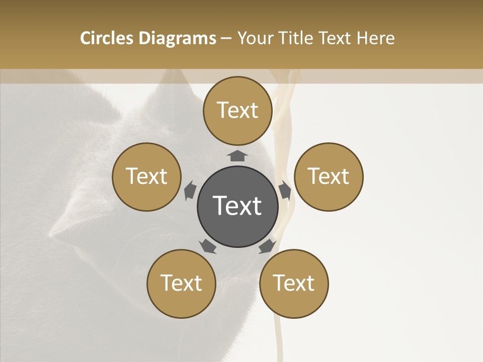 Meeting Per On Teamwork PowerPoint Template