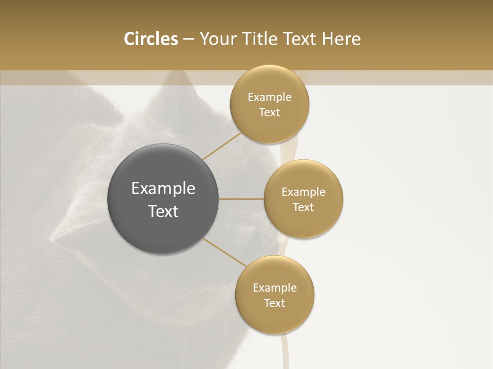 Meeting Per On Teamwork PowerPoint Template