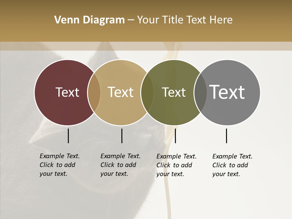 Meeting Per On Teamwork PowerPoint Template