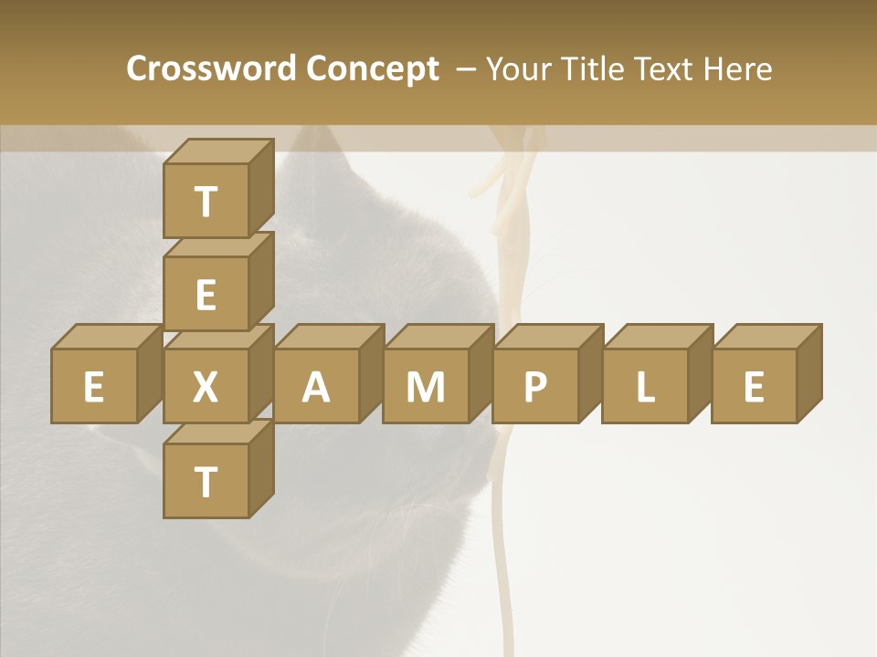 Meeting Per On Teamwork PowerPoint Template