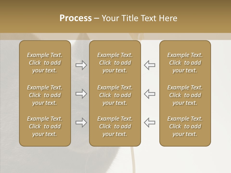 Meeting Per On Teamwork PowerPoint Template