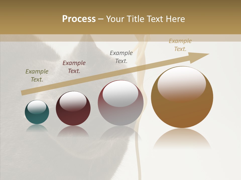 Meeting Per On Teamwork PowerPoint Template