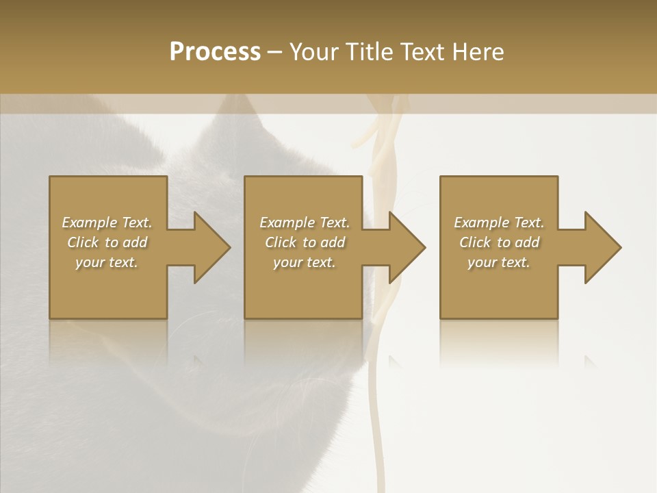 Meeting Per On Teamwork PowerPoint Template