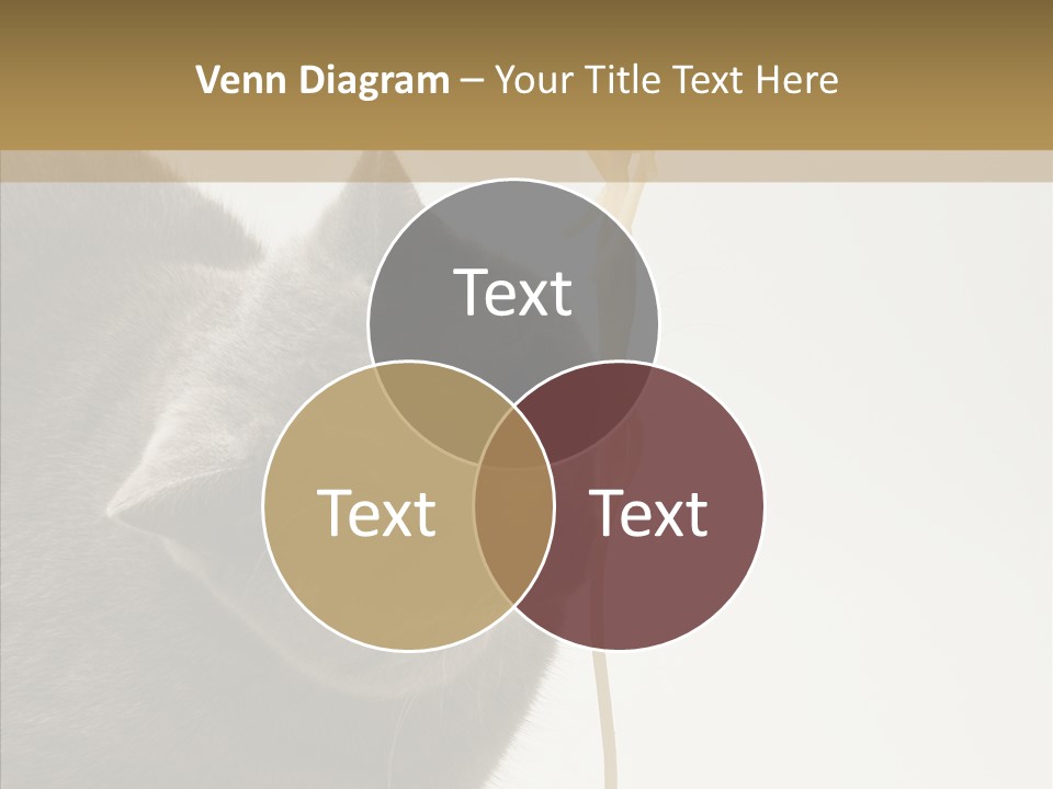 Meeting Per On Teamwork PowerPoint Template