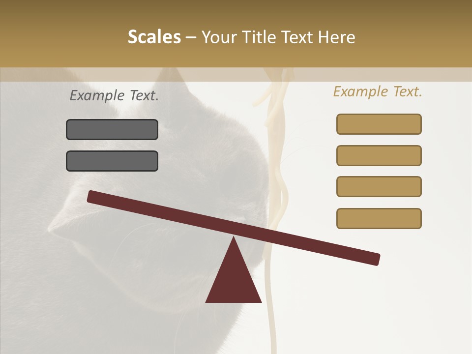 Meeting Per On Teamwork PowerPoint Template