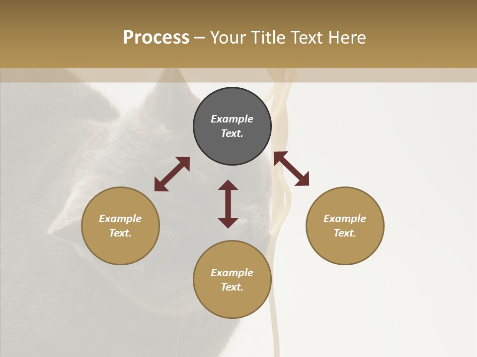 Meeting Per On Teamwork PowerPoint Template