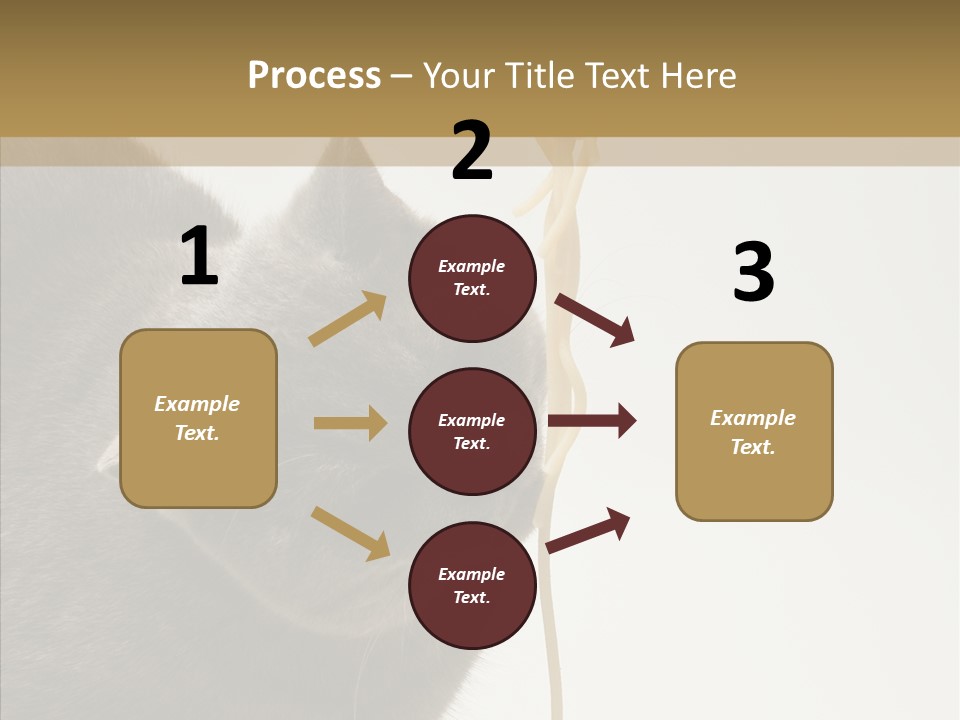 Meeting Per On Teamwork PowerPoint Template