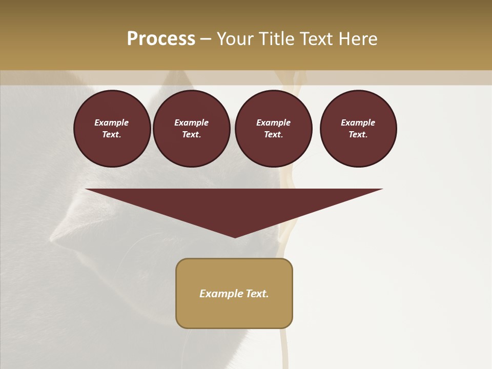 Meeting Per On Teamwork PowerPoint Template