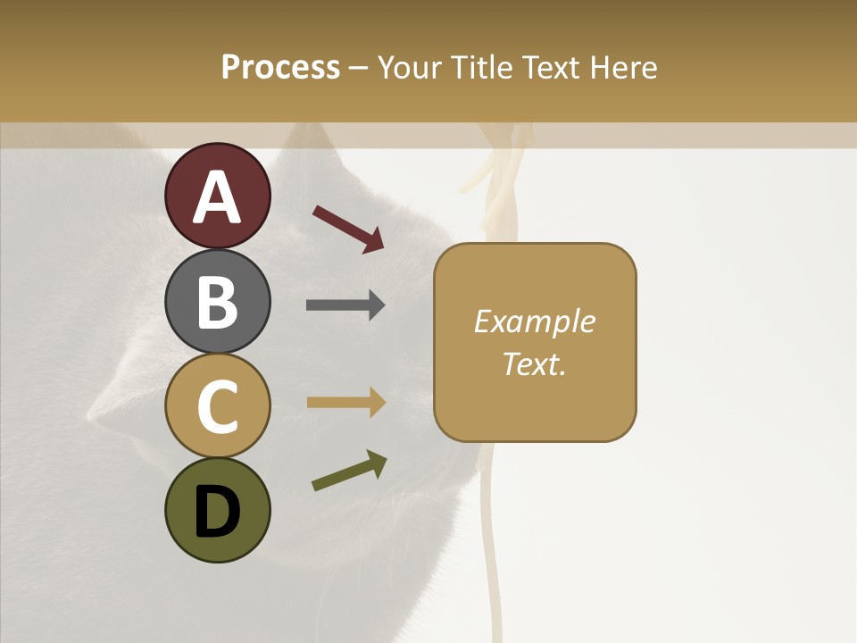 Meeting Per On Teamwork PowerPoint Template