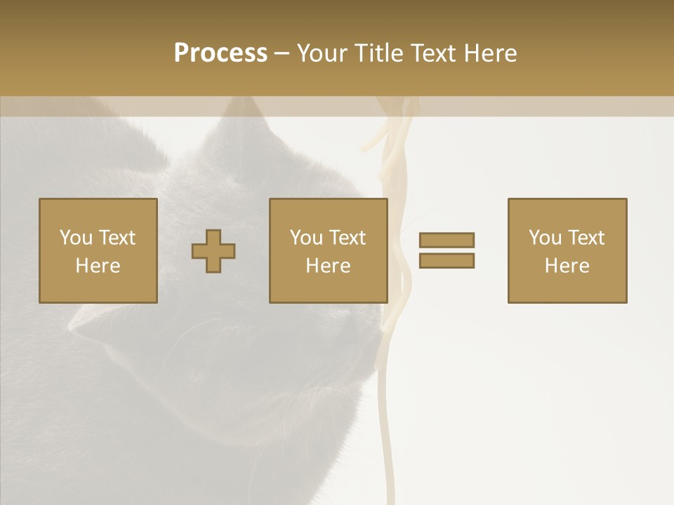 Meeting Per On Teamwork PowerPoint Template