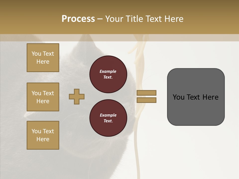 Meeting Per On Teamwork PowerPoint Template