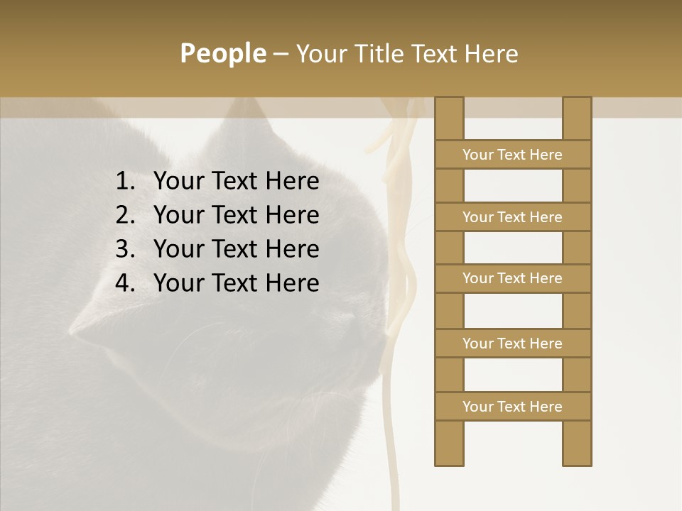 Meeting Per On Teamwork PowerPoint Template