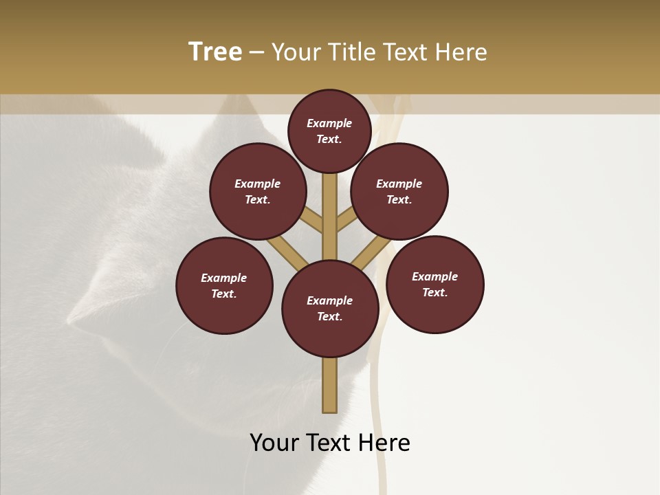 Meeting Per On Teamwork PowerPoint Template