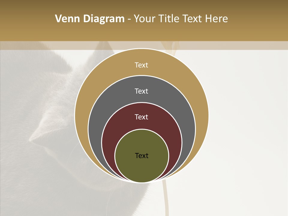 Meeting Per On Teamwork PowerPoint Template
