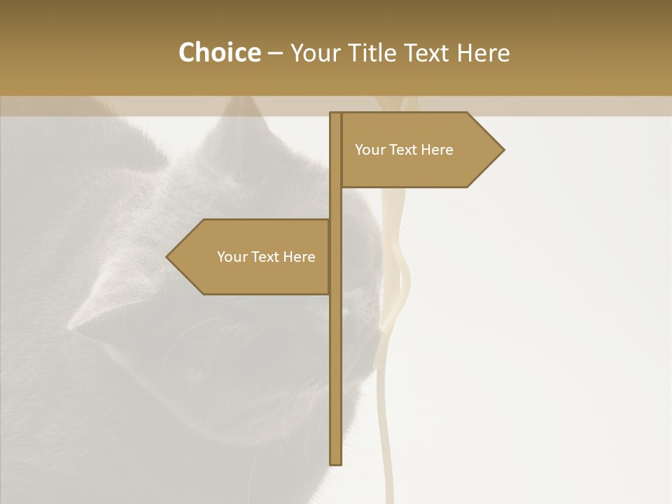 Meeting Per On Teamwork PowerPoint Template