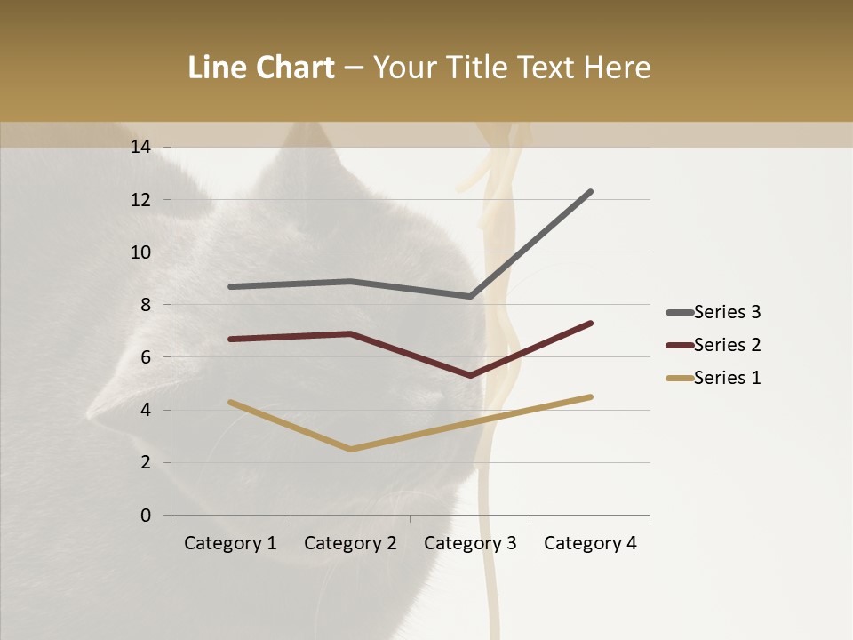 Meeting Per On Teamwork PowerPoint Template