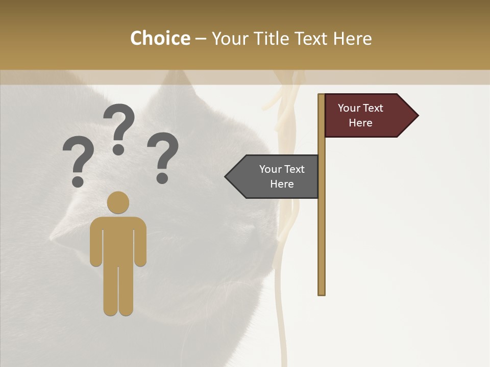 Meeting Per On Teamwork PowerPoint Template