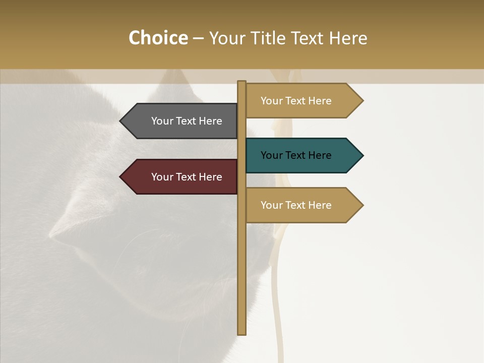Meeting Per On Teamwork PowerPoint Template