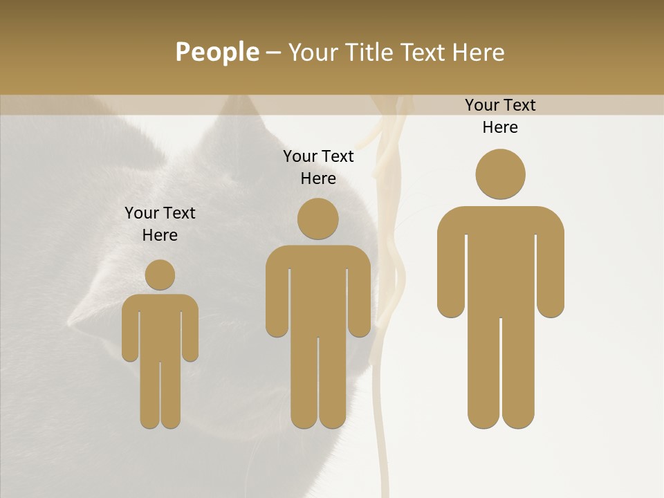 Meeting Per On Teamwork PowerPoint Template