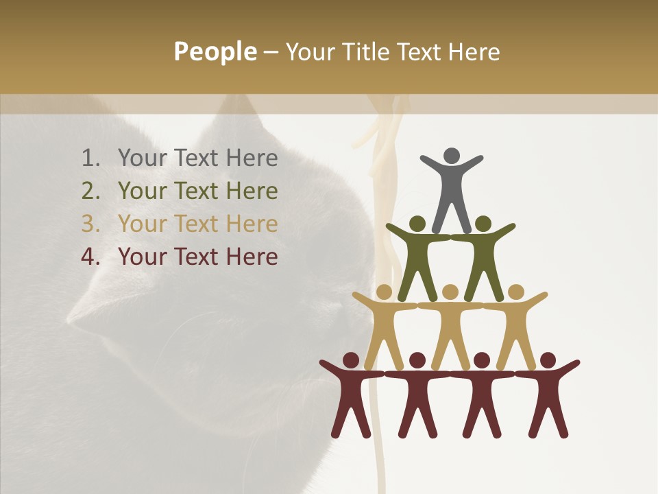 Meeting Per On Teamwork PowerPoint Template