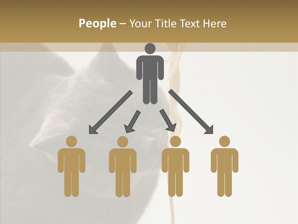 Meeting Per On Teamwork PowerPoint Template