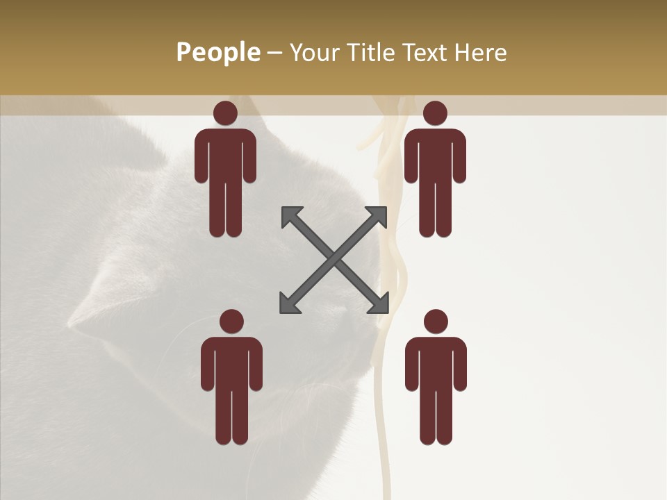 Meeting Per On Teamwork PowerPoint Template