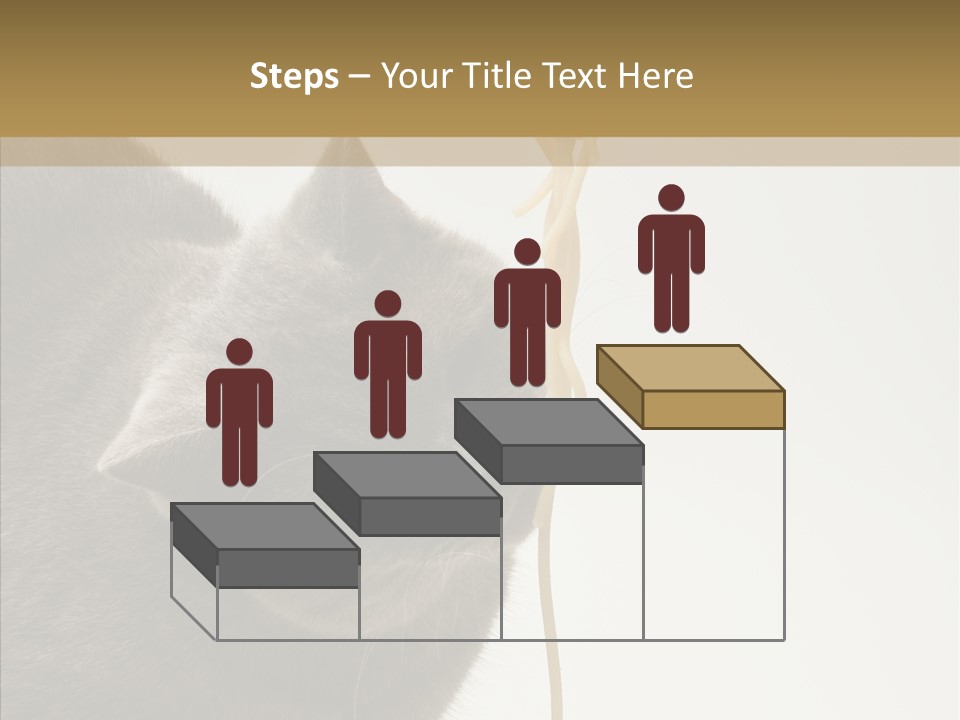 Meeting Per On Teamwork PowerPoint Template