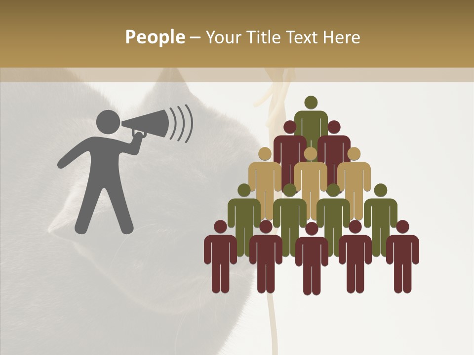 Meeting Per On Teamwork PowerPoint Template